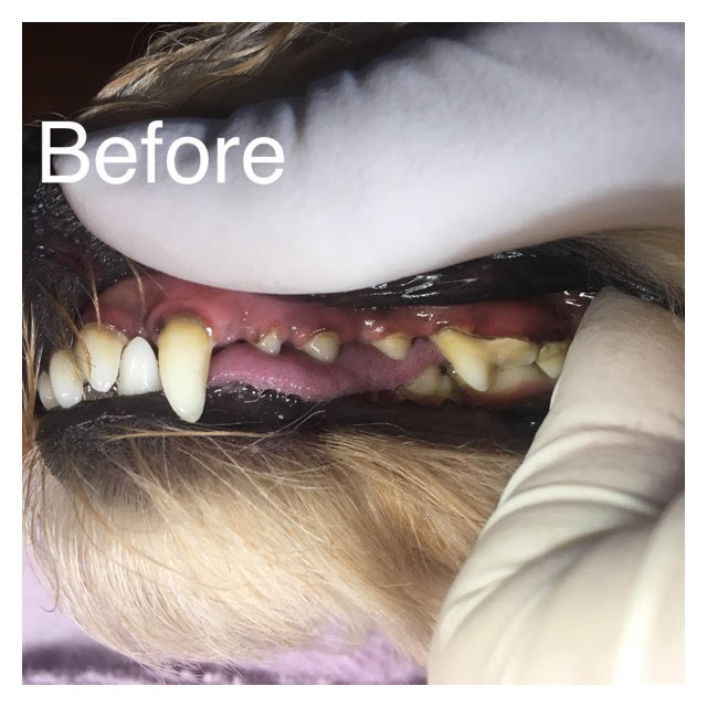 Before Before