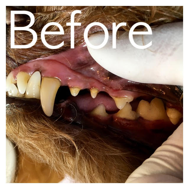 Before Before