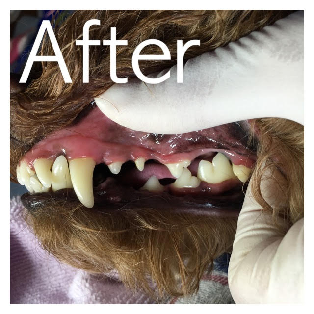 After After