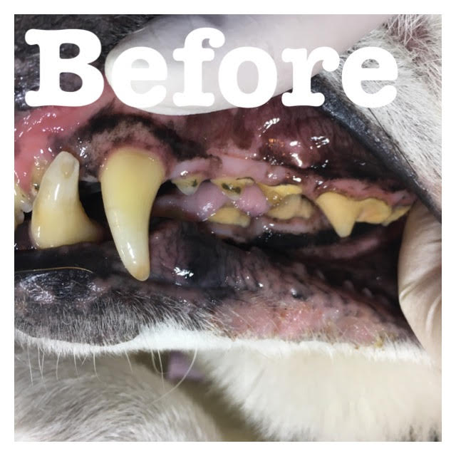 Before Before