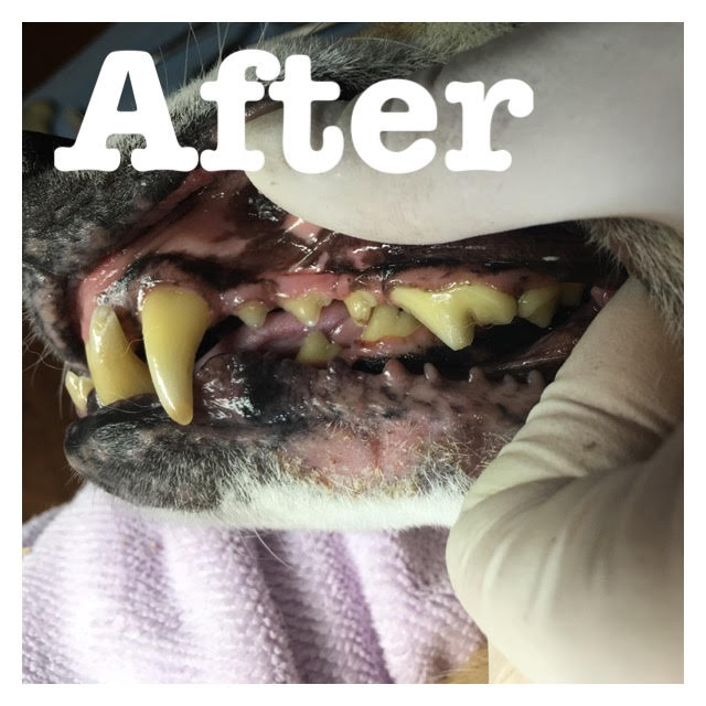 After After