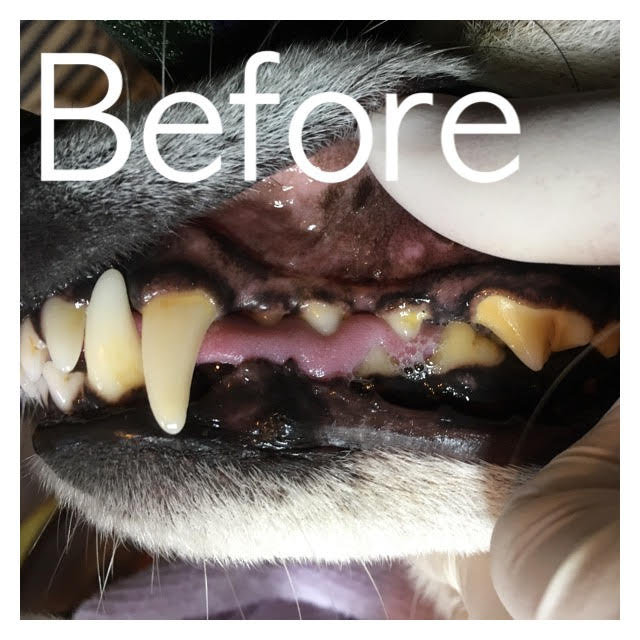 Before Before