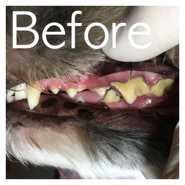 Before Before
