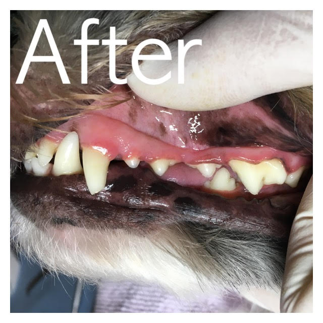 After After
