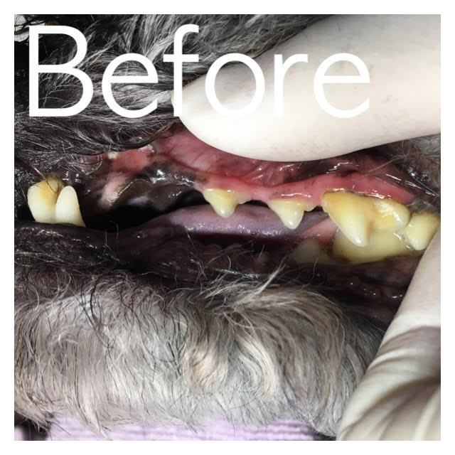 Before Before