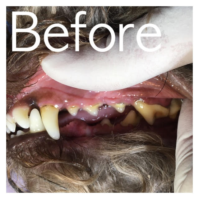 Before Before