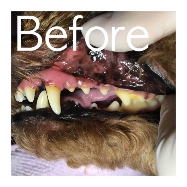Before Before