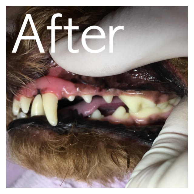 After After