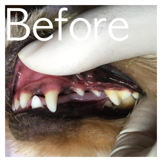 Before Before