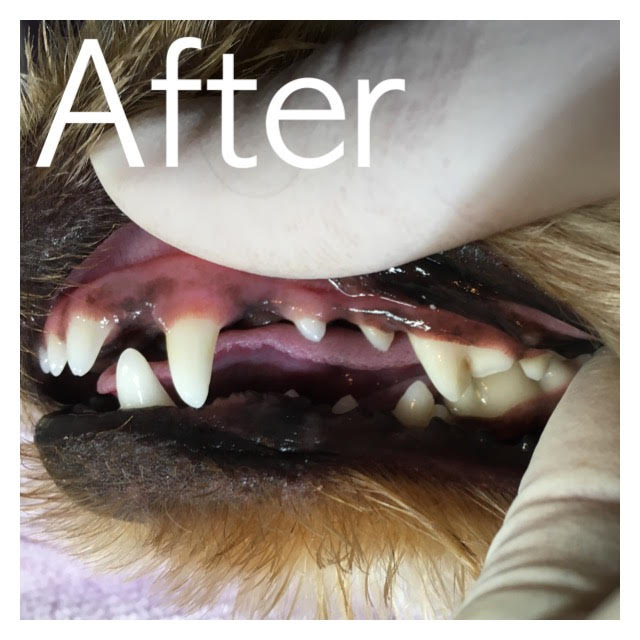 After After