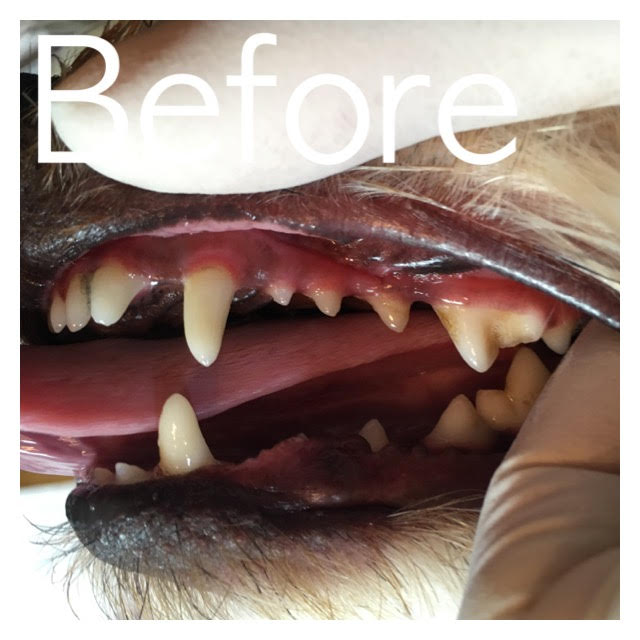 Before Before