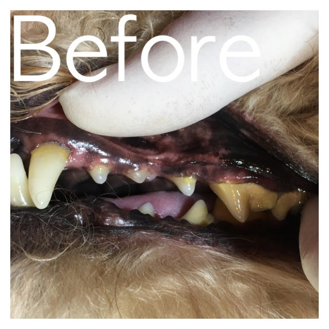 Before Before