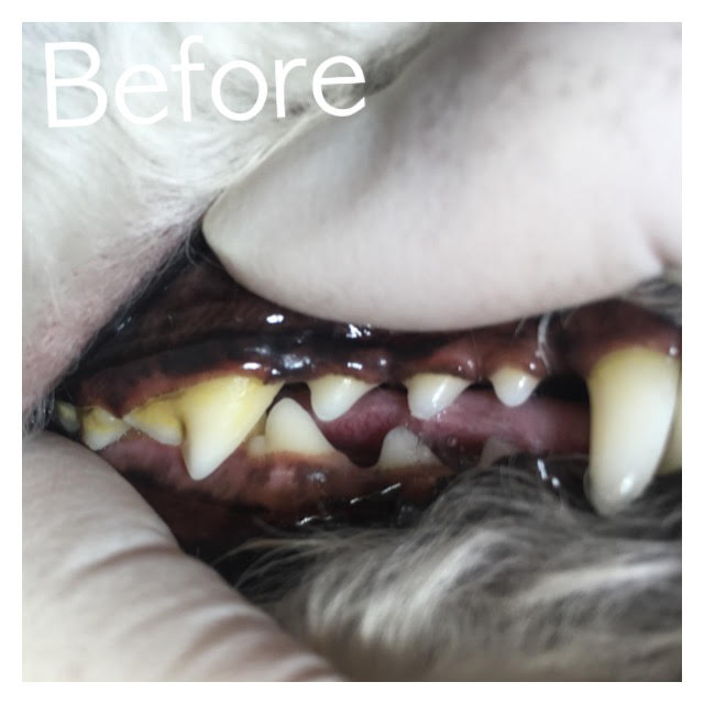 Before Before
