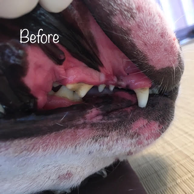 Before Before