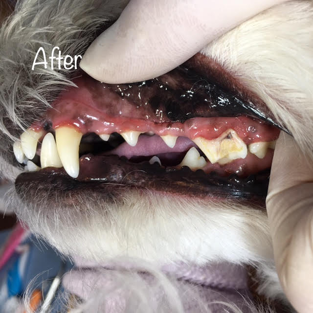 After After
