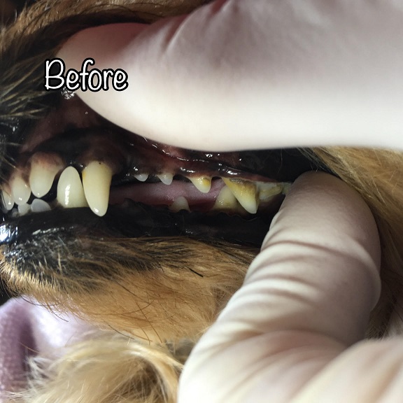 Before Before