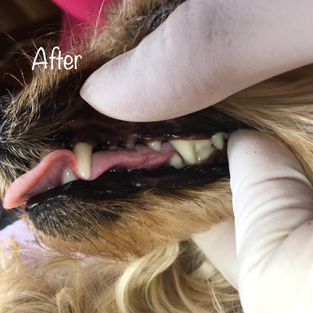 After After