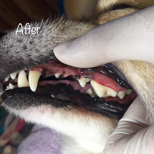 After After