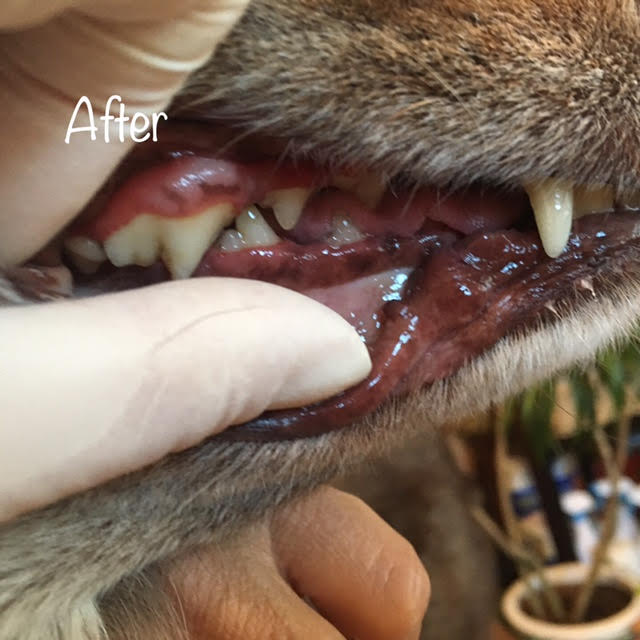 After After