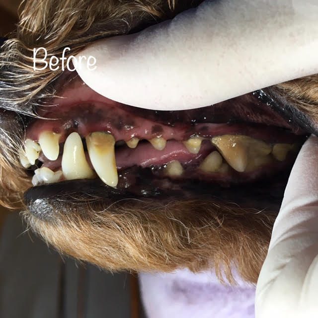 Before Before