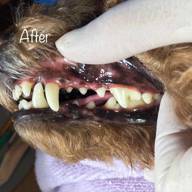 After After