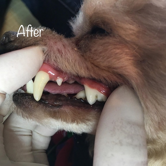 After After