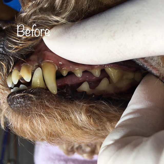 Before Before