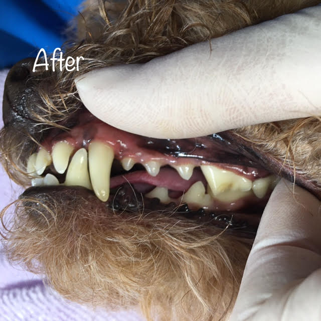 After After