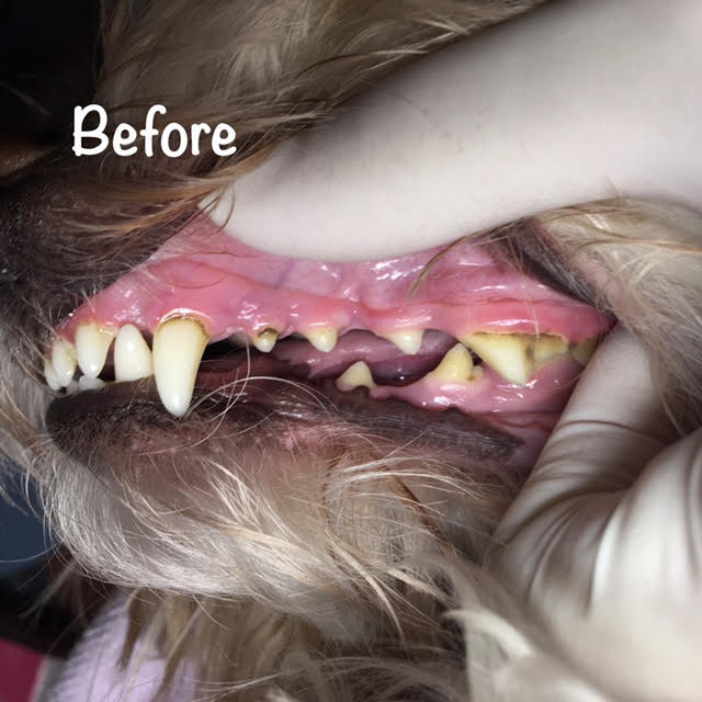 Before Before