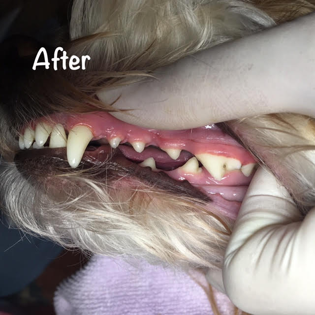 After After