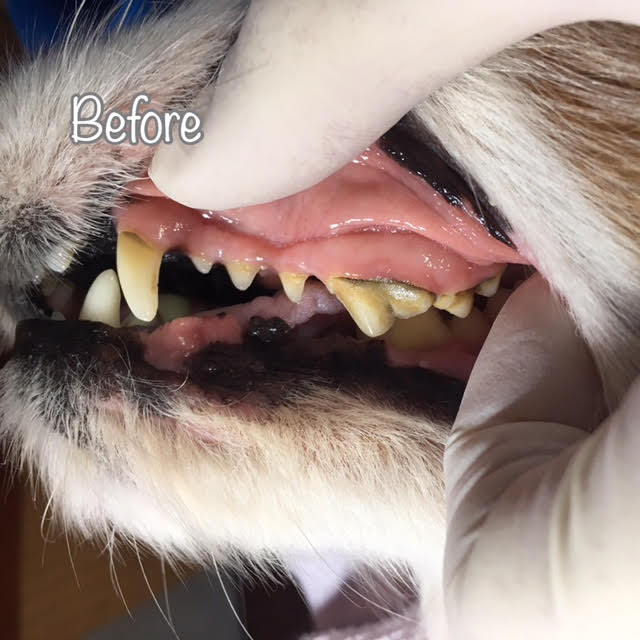Before Before