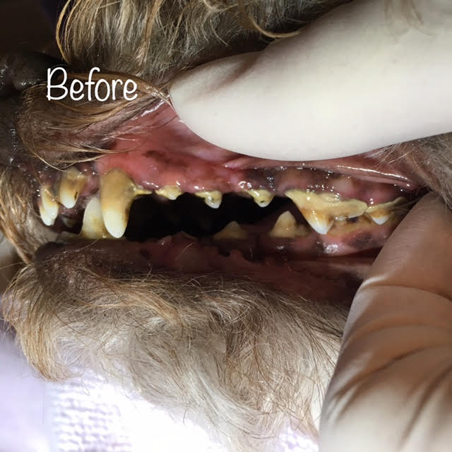 Before Before