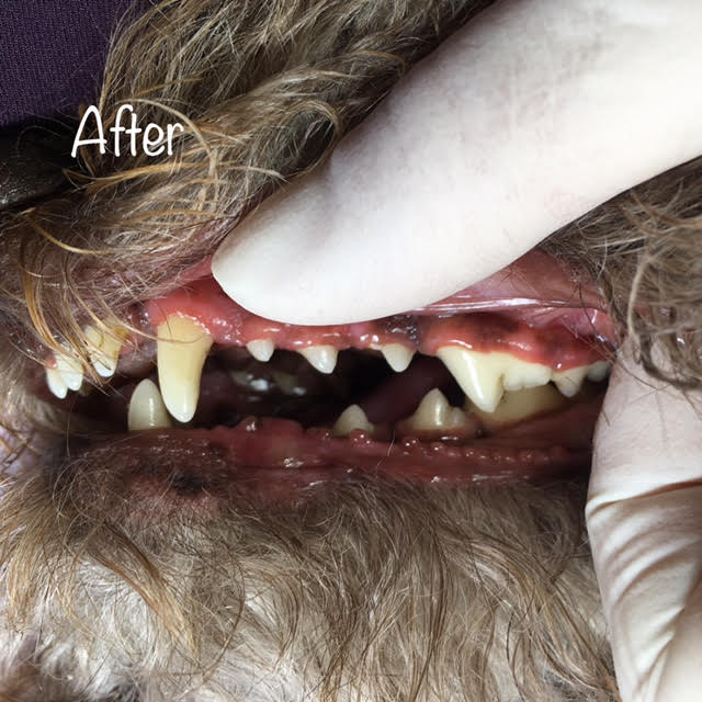 After After