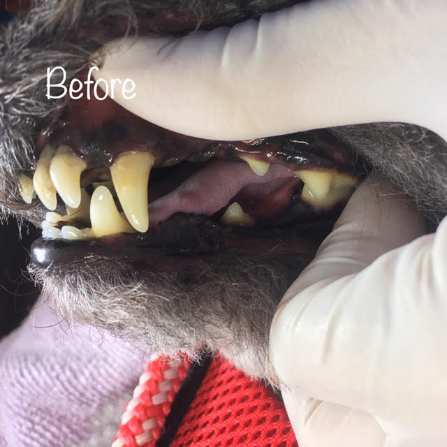 Before Before