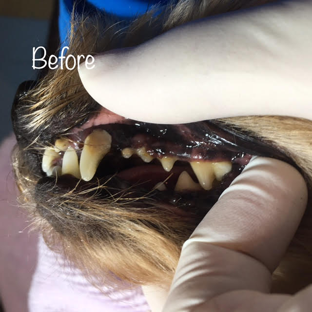 Before Before