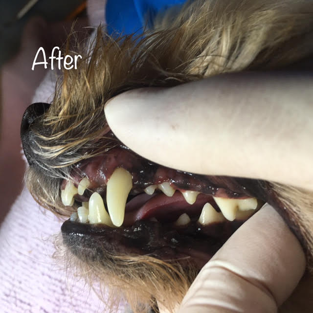 After After