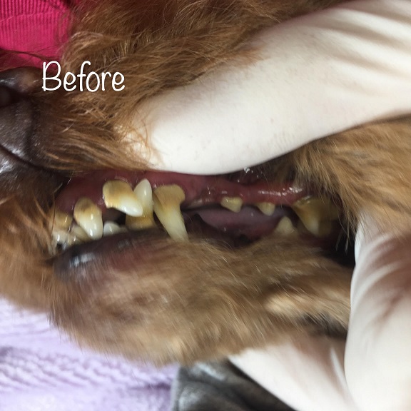Before Before