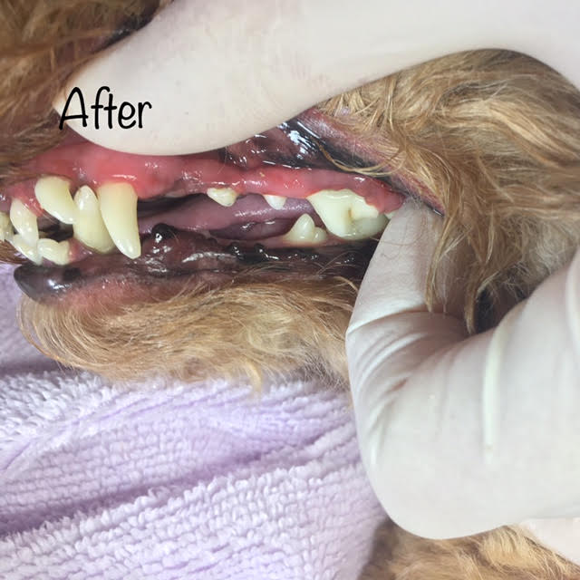 After After