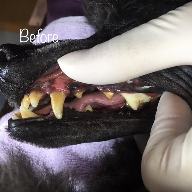 Before Before