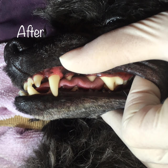 After After