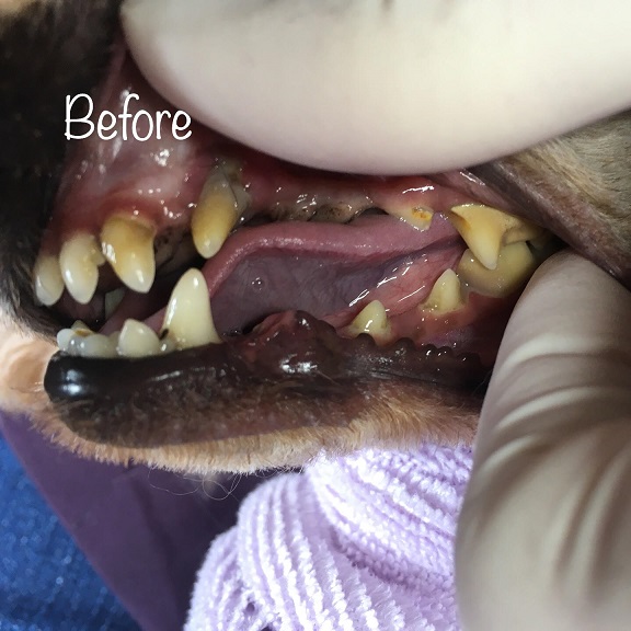 Before Before