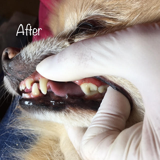 After After