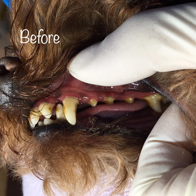 Before Before