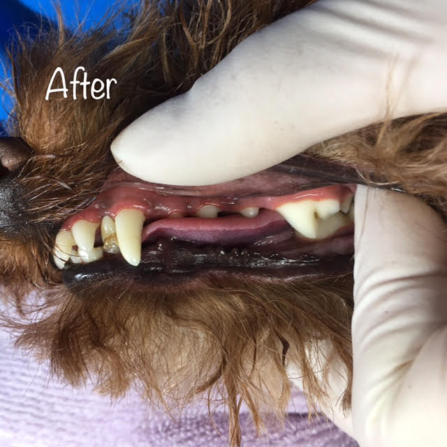 After After