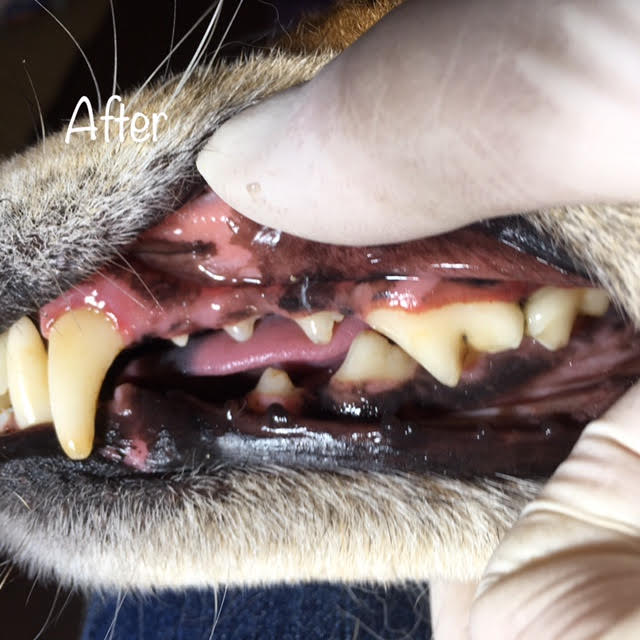 After After