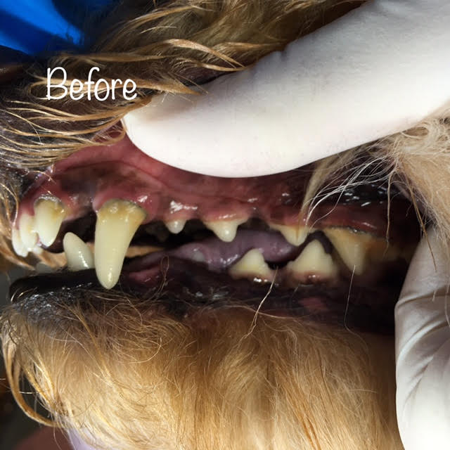 Before Before