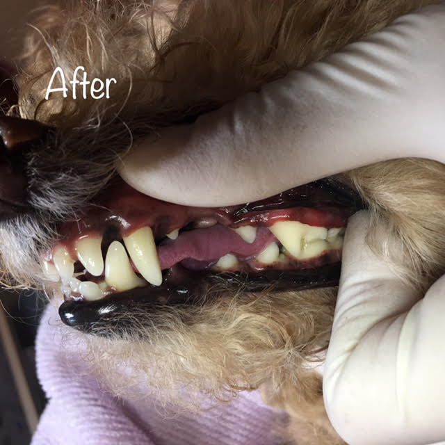 After After