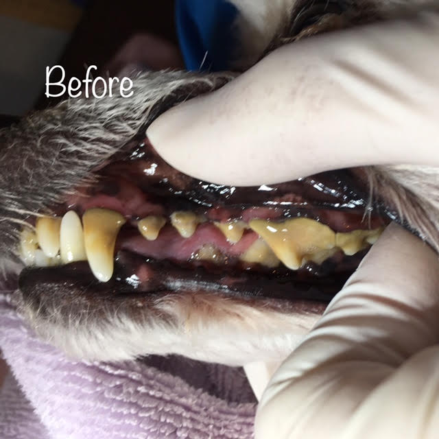 Before Before