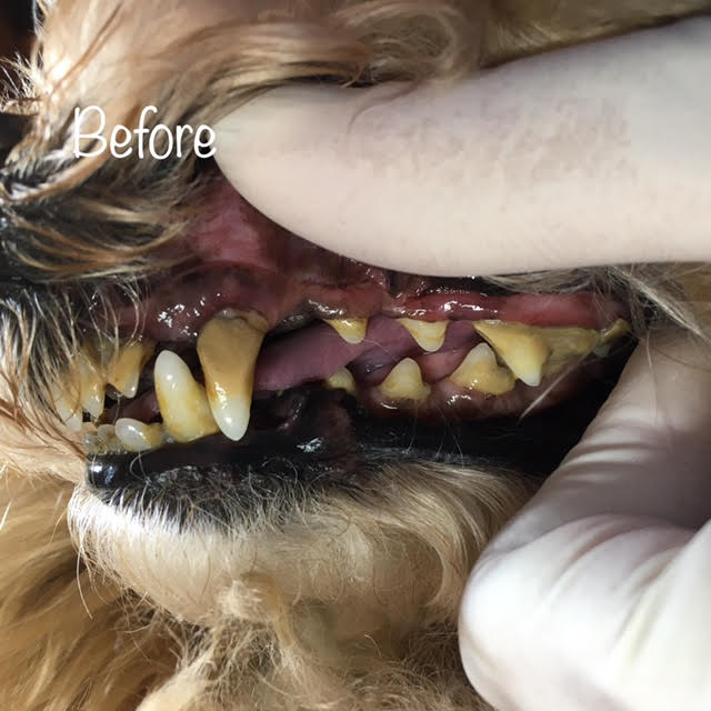 Before Before