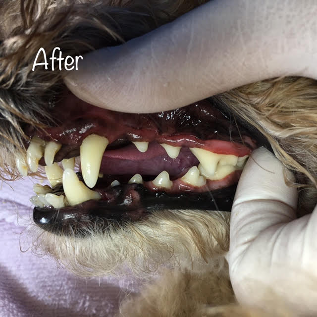 After After